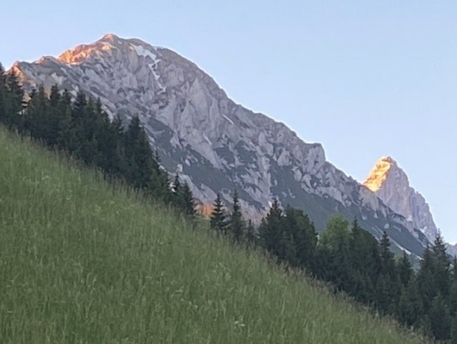 Almwiese in Filzmoos