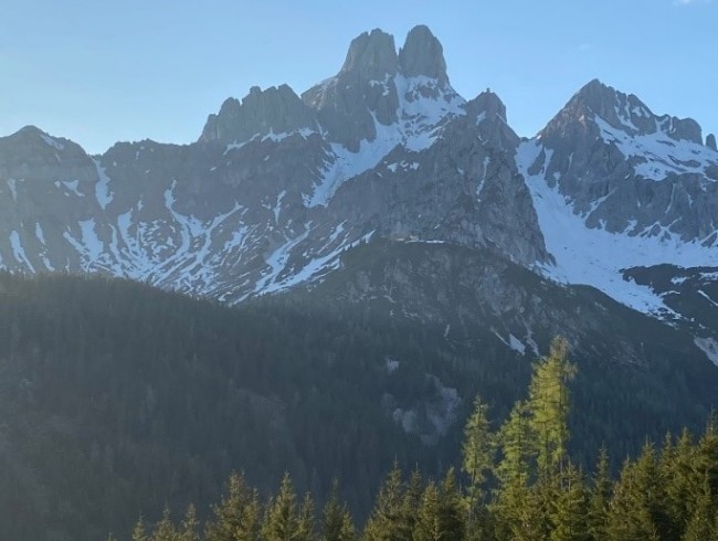 Bischofsm&uuml;tze Filzmoos